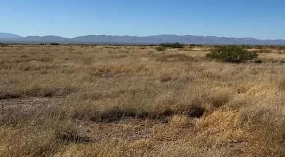0.29 Acres for Sale in Douglas, Arizona in Cochise County, AZ