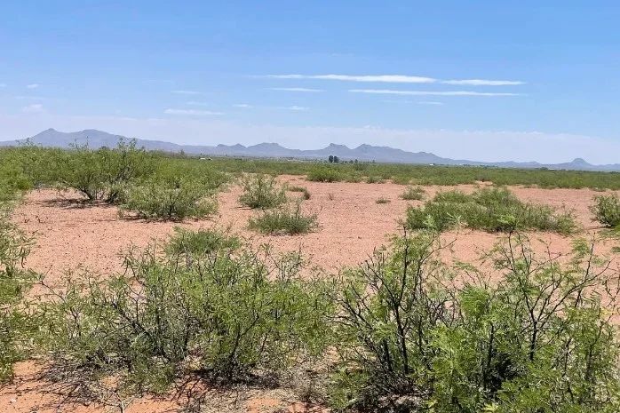 0.98 Acres for Sale in Douglas, Arizona - Main image