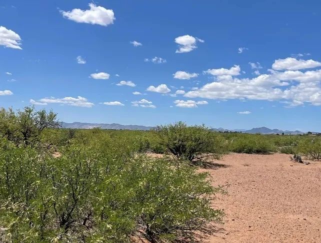0.49 Acres for Sale in Douglas, Arizona in Cochise County, AZ