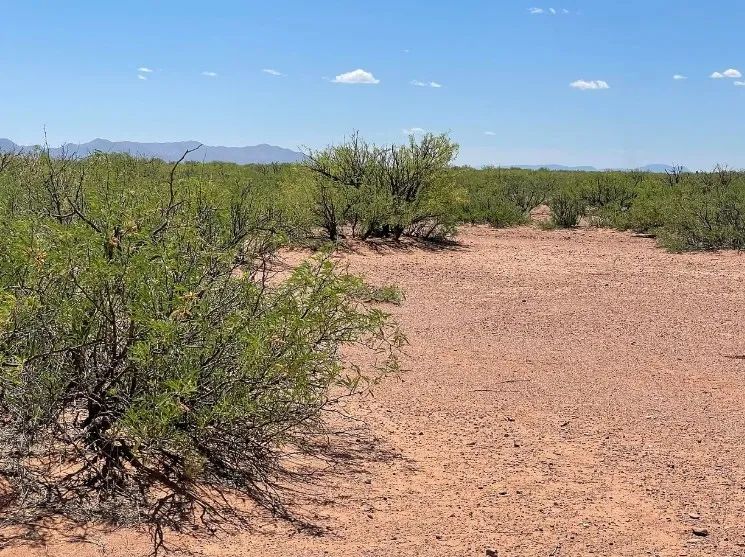0.49 Acres for Sale in Douglas, Arizona in Cochise County, AZ