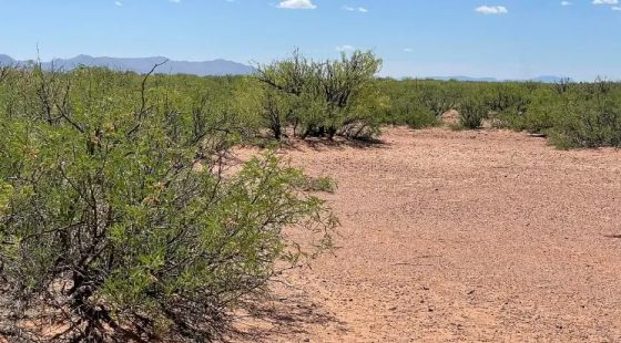 0.49 Acres for Sale in Douglas, Arizona in Cochise County, AZ