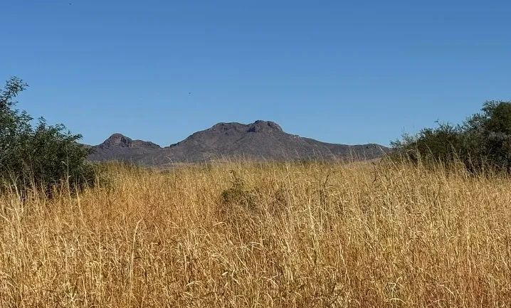 0.34 Acres for Sale in Douglas, Arizona in Cochise County, AZ
