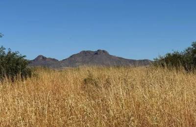 0.34 Acres for Sale in Douglas, Arizona