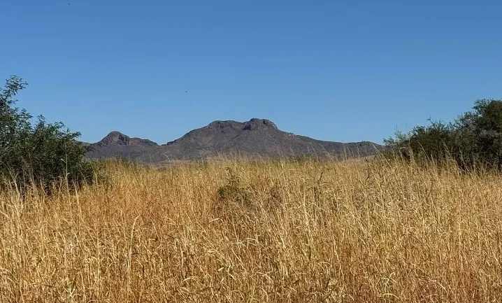 0.34 Acres for Sale in Douglas, Arizona in Cochise County, AZ