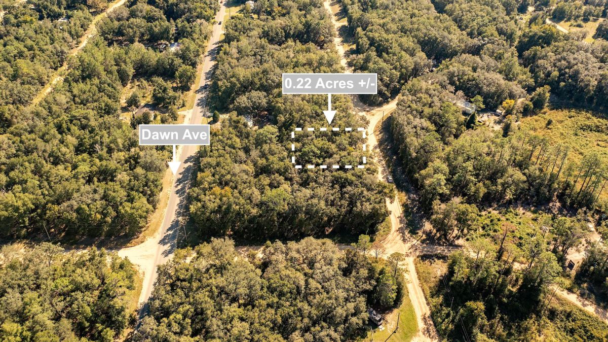 0.22 Acres Land Next To Paved Road For Sale In Interlachen - Main image