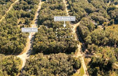0.22 Acres Land Next To Paved Road For Sale In Interlachen