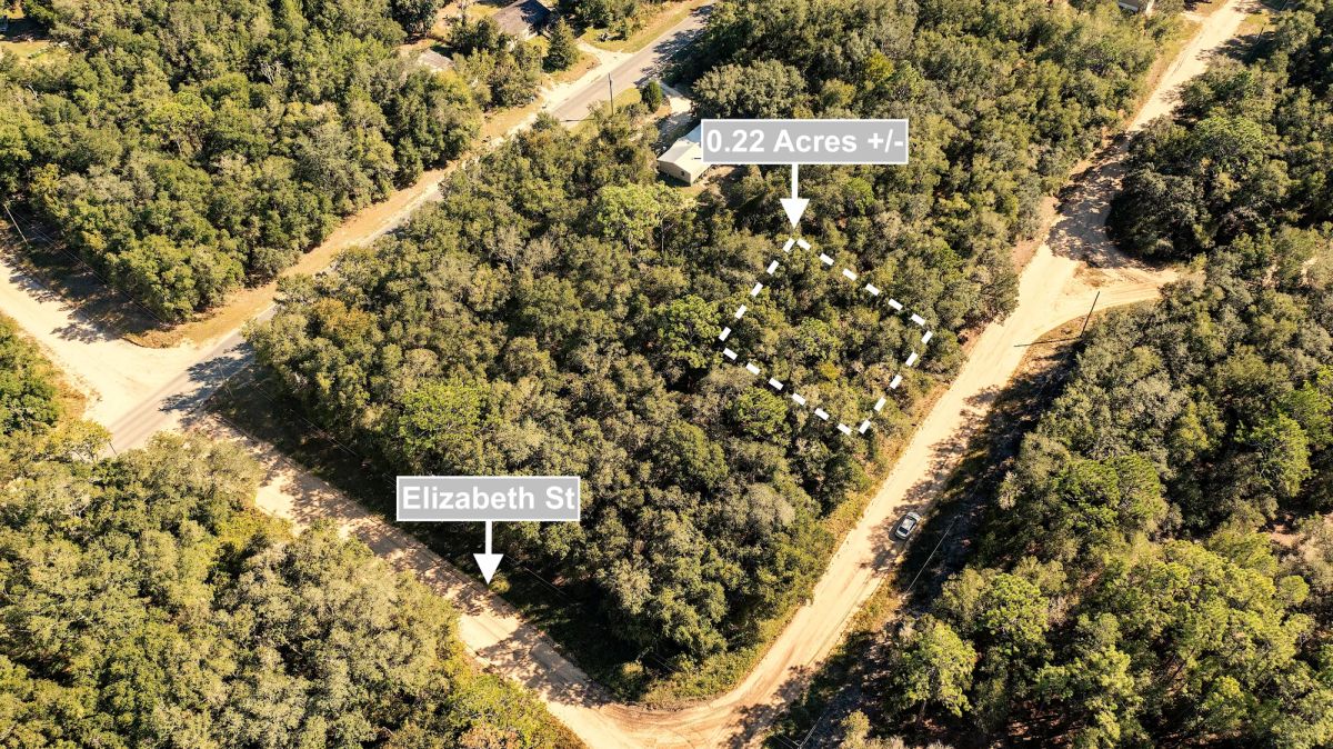0.22 Acres Land Next To Paved Road For Sale In Interlachen - Image 2