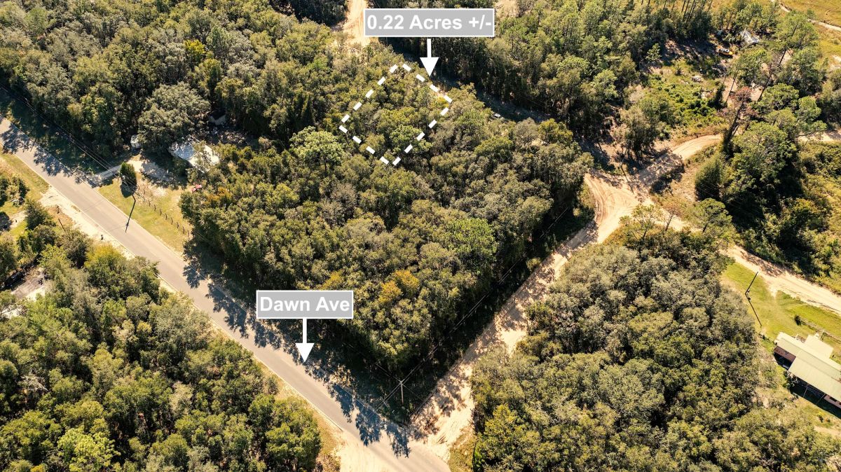 0.22 Acres Land Next To Paved Road For Sale In Interlachen - Image 3