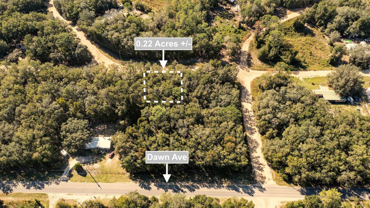 0.22 Acres Land Next To Paved Road For Sale In Interlachen - Image 4