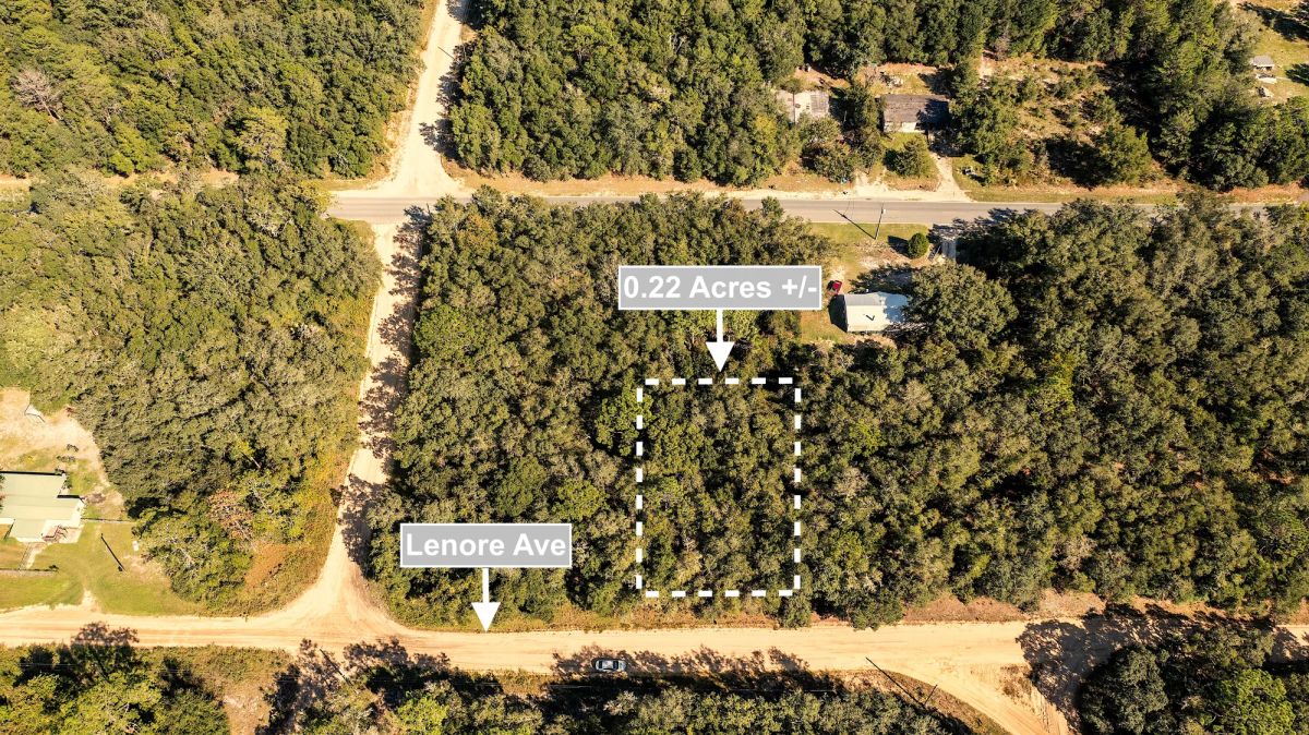 Decorative background for 0.22 Acres Land Next To Paved Road For Sale In Interlachen image 5