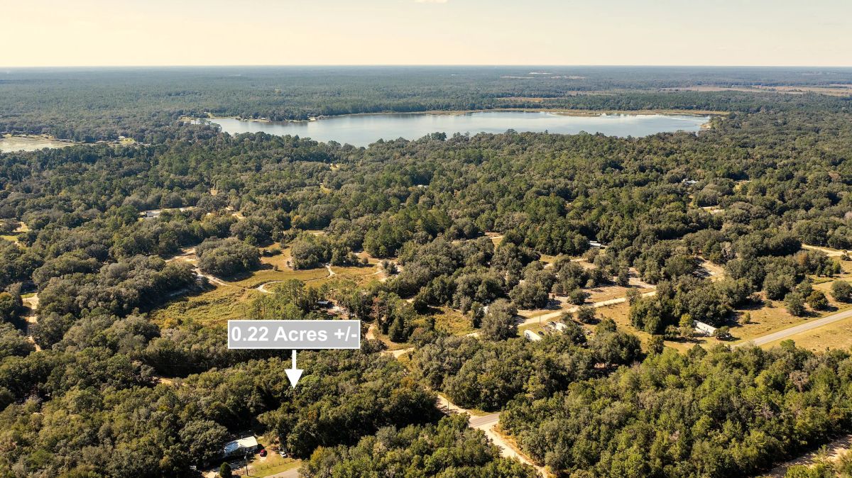 Decorative background for 0.22 Acres Land Next To Paved Road For Sale In Interlachen image 6