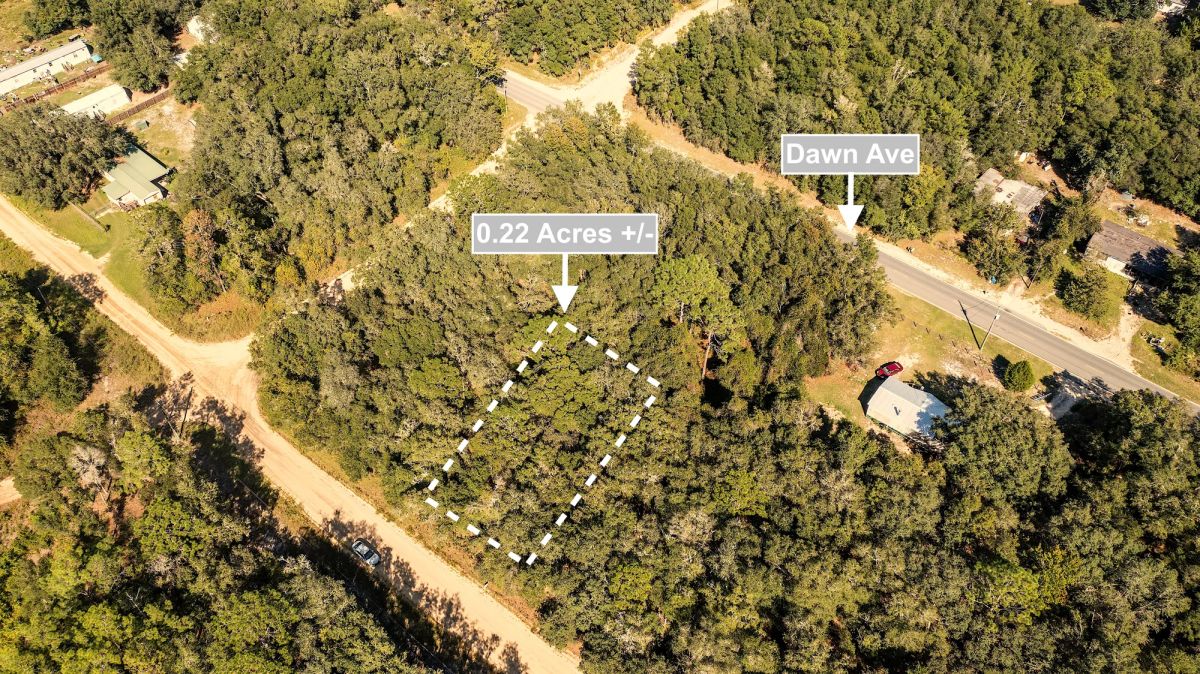 Decorative background for 0.22 Acres Land Next To Paved Road For Sale In Interlachen image 7