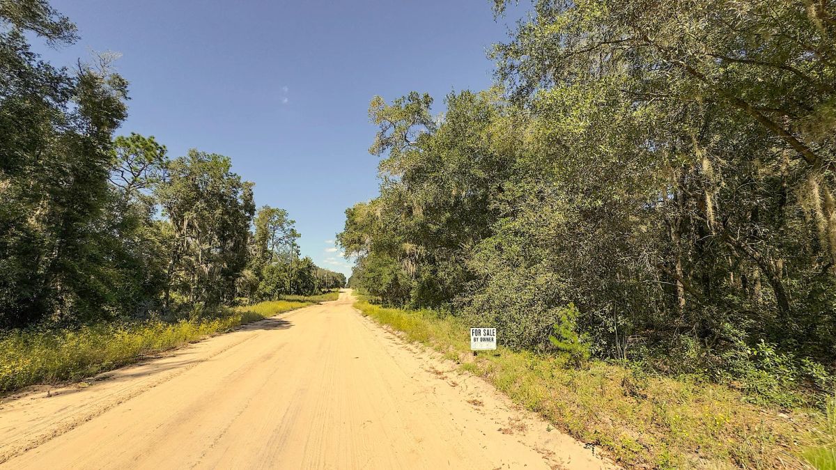 Decorative background for 0.22 Acres Land Next To Paved Road For Sale In Interlachen image 9