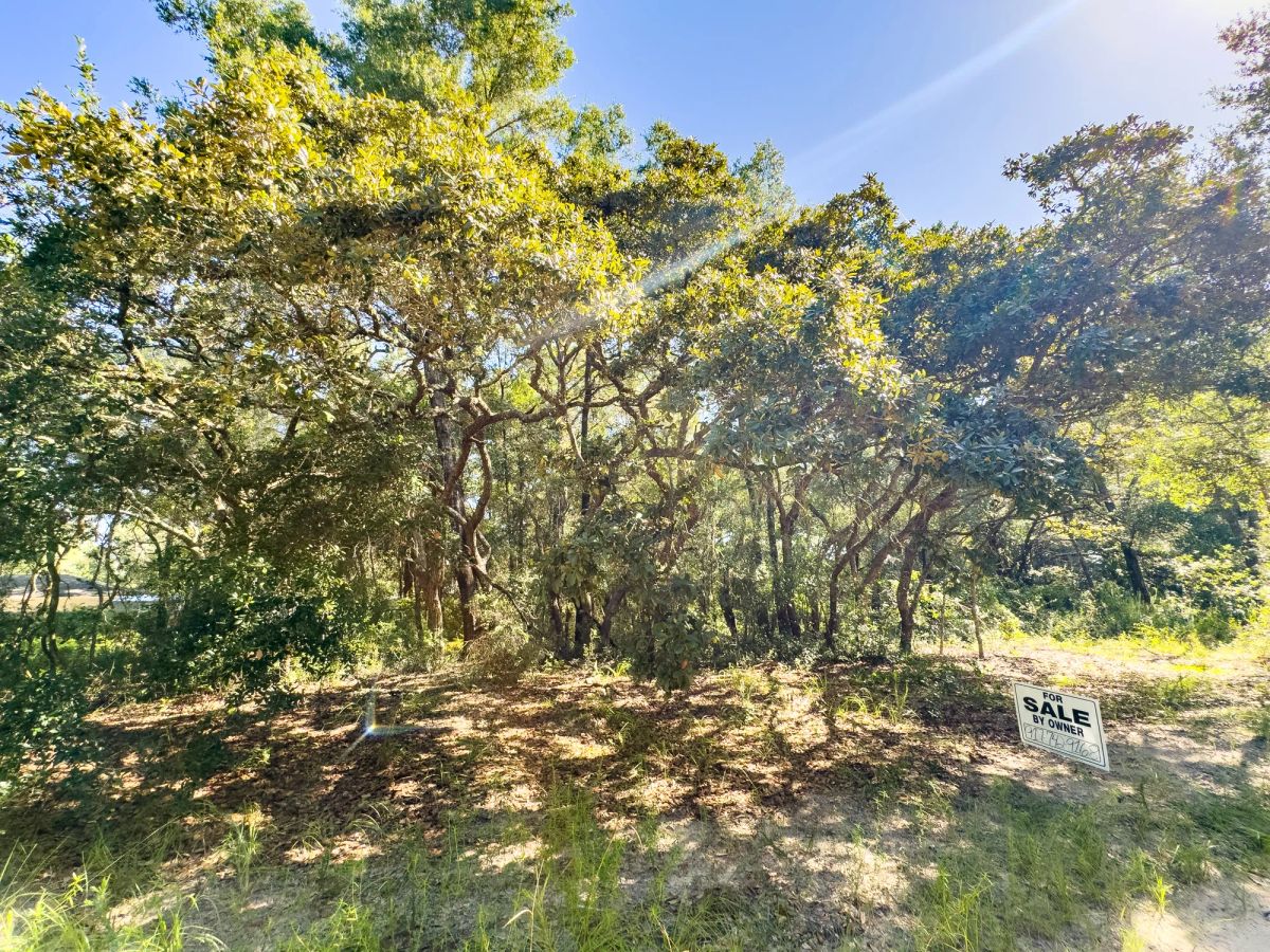 Decorative background for 0.24 Acres Land For Sale In Inverness image 7