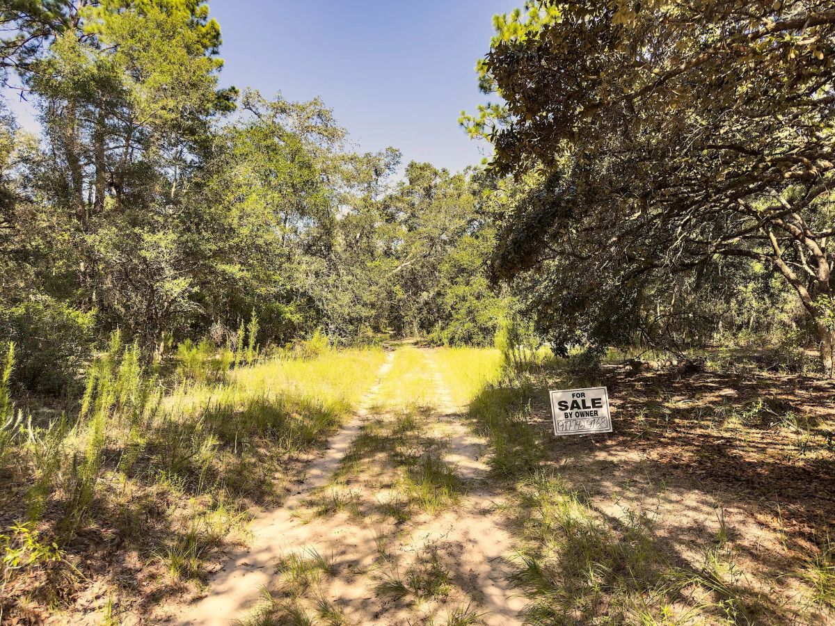 Decorative background for 0.24 Acres Land For Sale In Inverness image 8