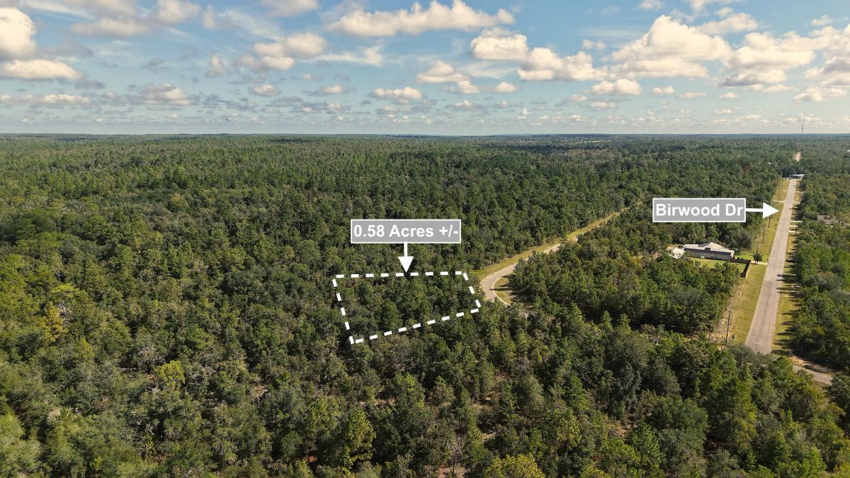 0.58 Acres Land For Sale In Chipley - Image 3