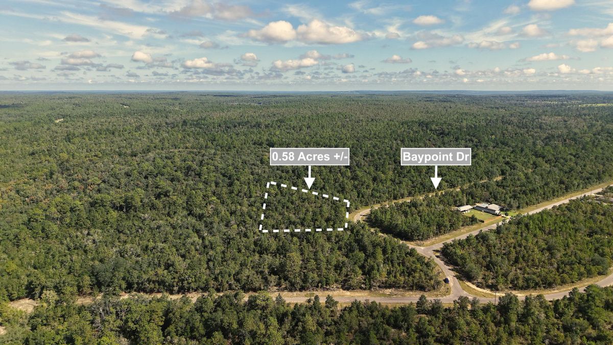 Decorative background for 0.58 Acres Land For Sale In Chipley image 5
