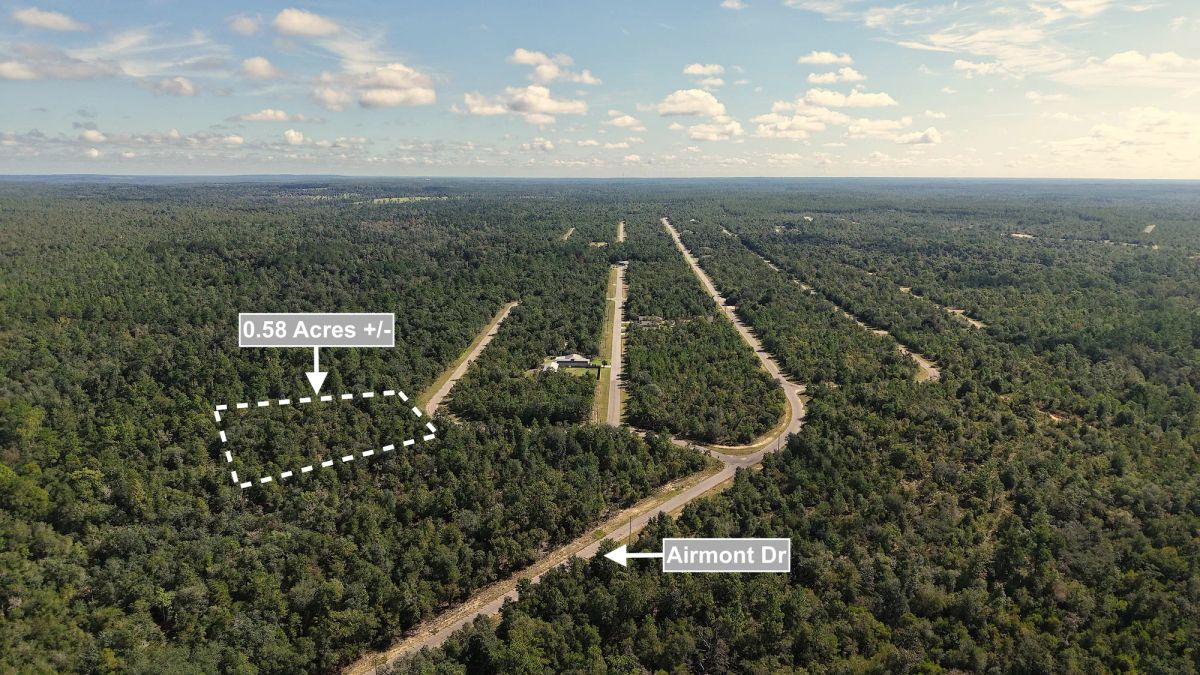 Decorative background for 0.58 Acres Land For Sale In Chipley image 6
