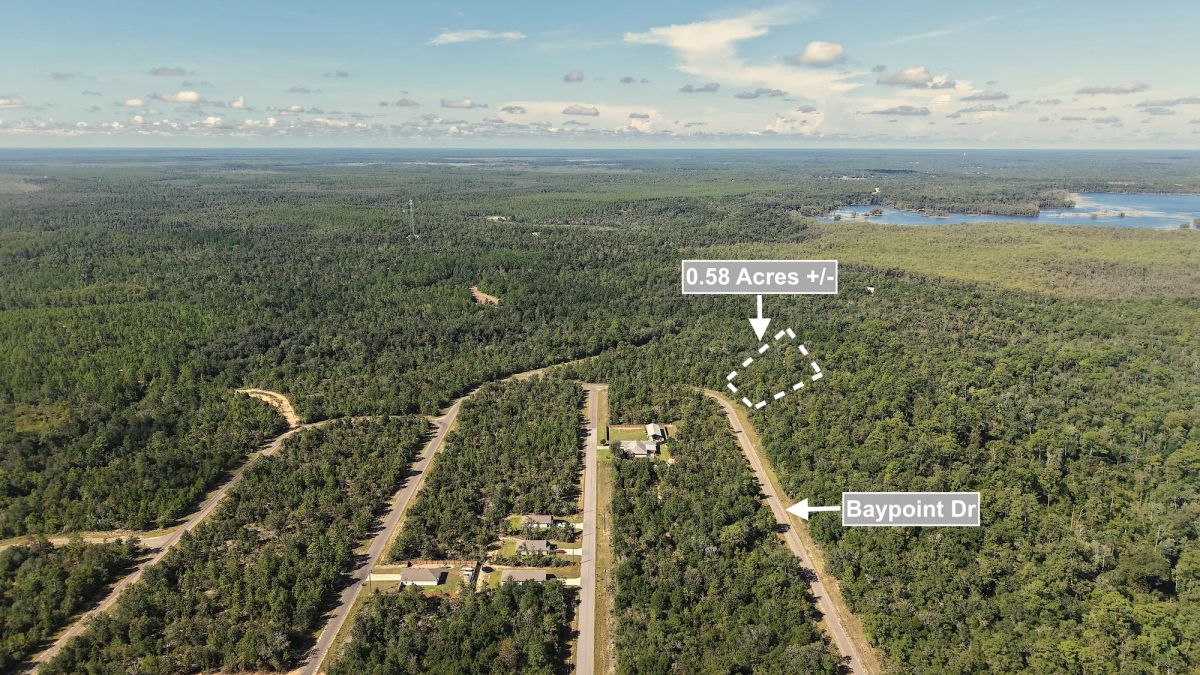 Decorative background for 0.58 Acres Land For Sale In Chipley image 7