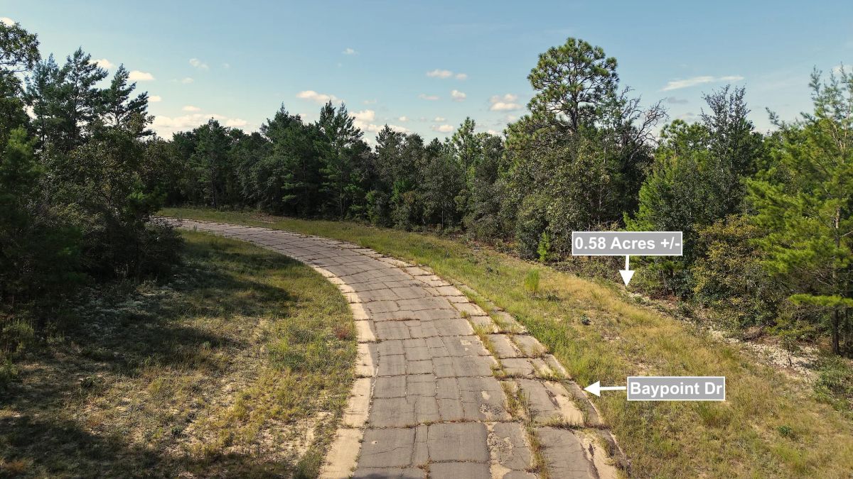 Decorative background for 0.58 Acres Land For Sale In Chipley image 8