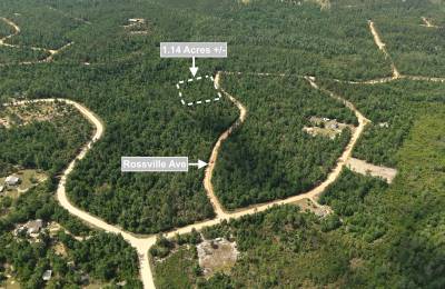 1.14 Acres Land For Sale In Alford