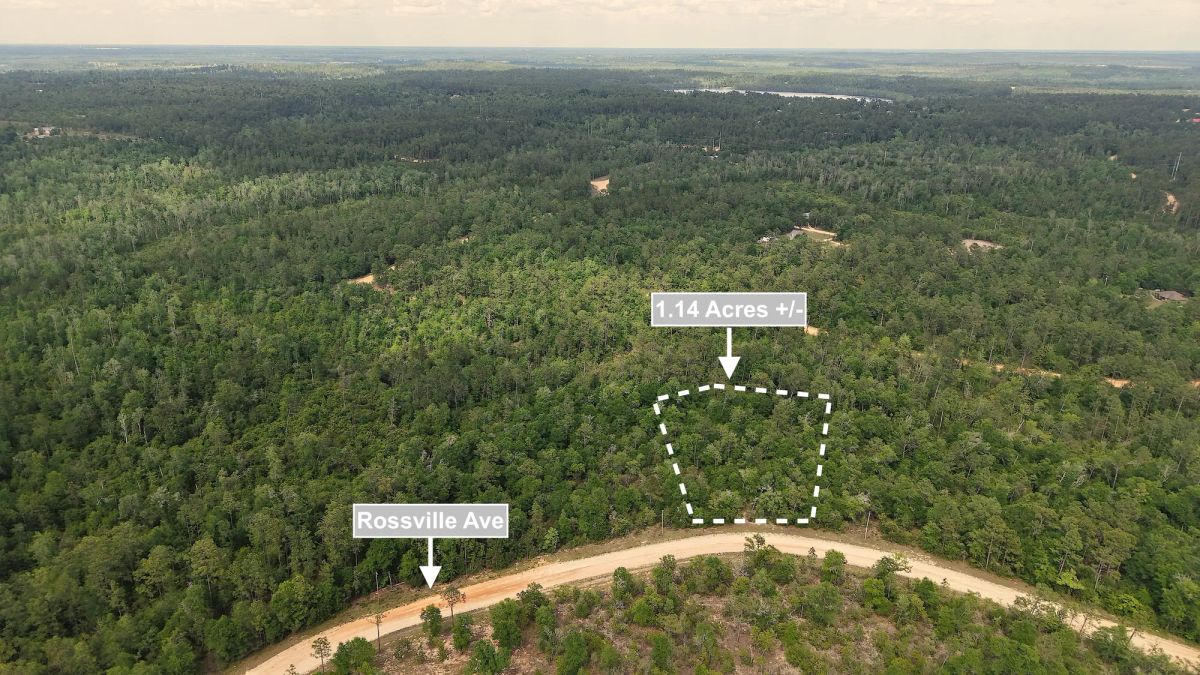 1.14 Acres Land For Sale In Alford - Image 3