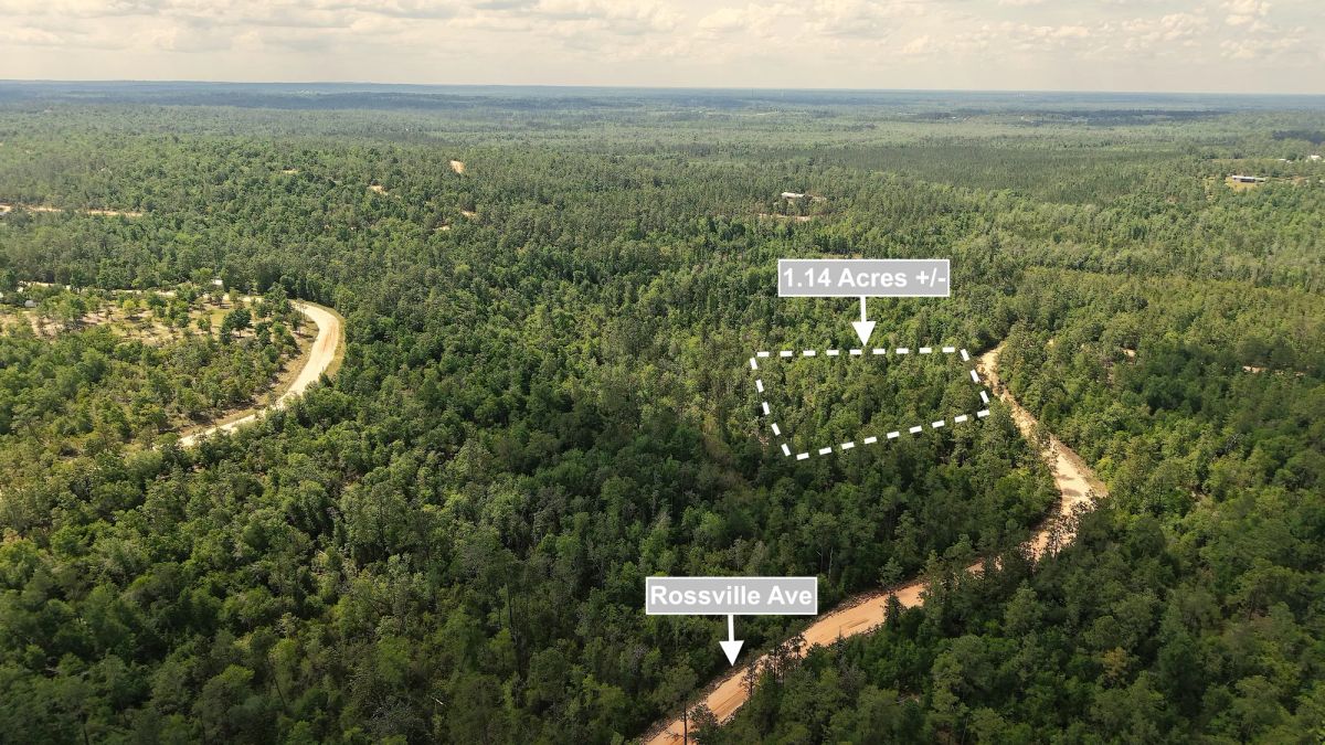 Decorative background for 1.14 Acres Land For Sale In Alford image 5