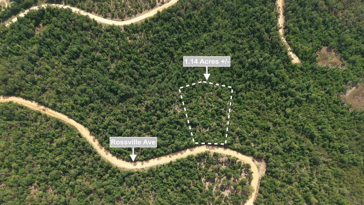 Decorative background for 1.14 Acres Land For Sale In Alford image 6