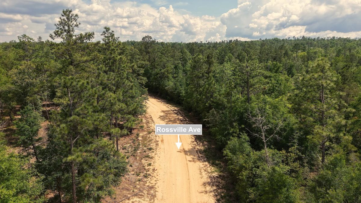 Decorative background for 1.14 Acres Land For Sale In Alford image 7