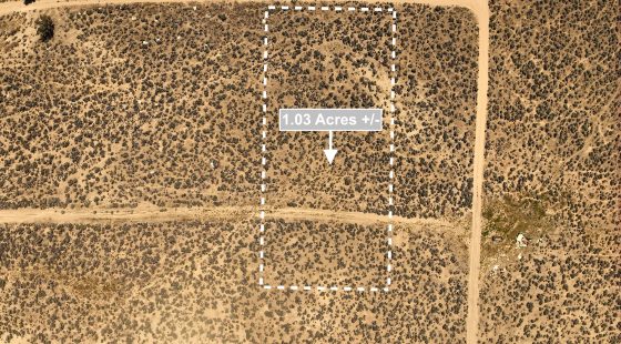 1.03 Acres Land For Sale In Elko NV in Elko County, NV