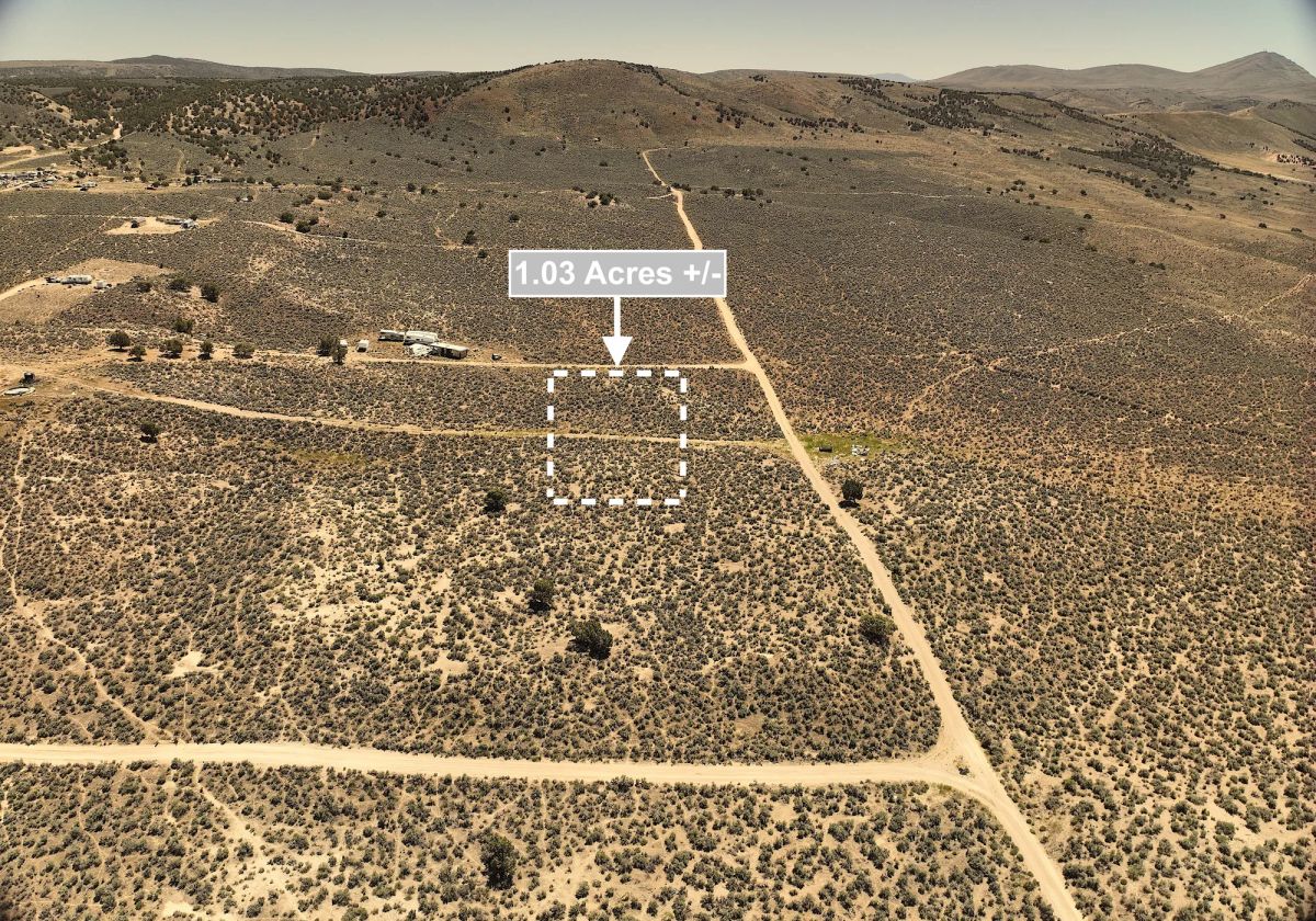 Decorative background for 1.03 Acres Land For Sale In Elko NV image 6
