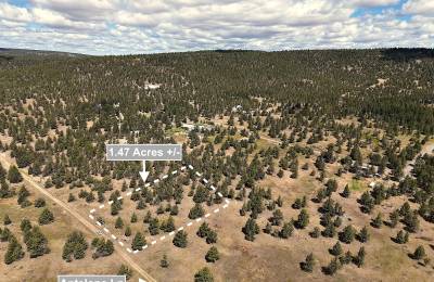 1.47 Acres Land For Sale In Alturas CA