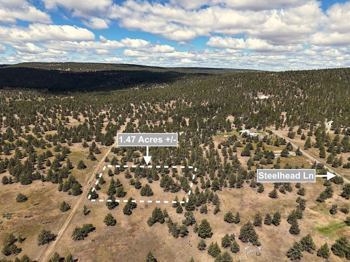 1.47 Acres Land For Sale In Alturas CA - Image 3