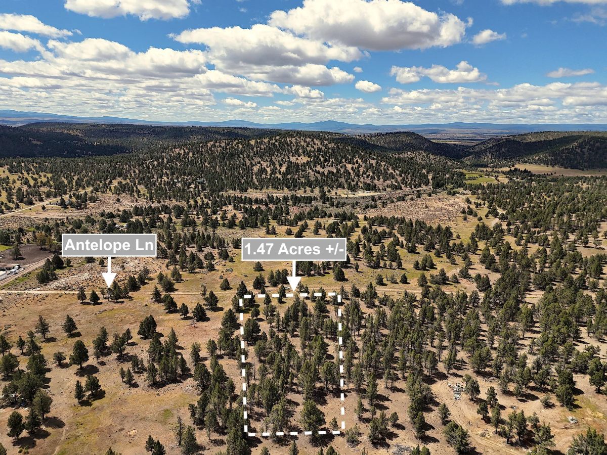 1.47 Acres Land For Sale In Alturas CA - Image 4