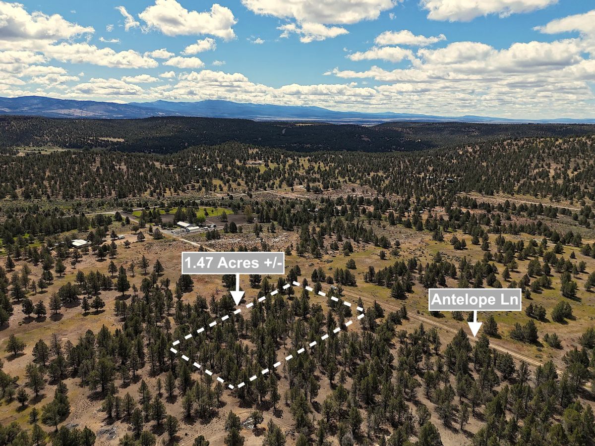 Decorative background for 1.47 Acres Land For Sale In Alturas CA image 5