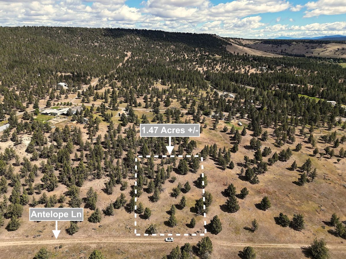 Decorative background for 1.47 Acres Land For Sale In Alturas CA image 6
