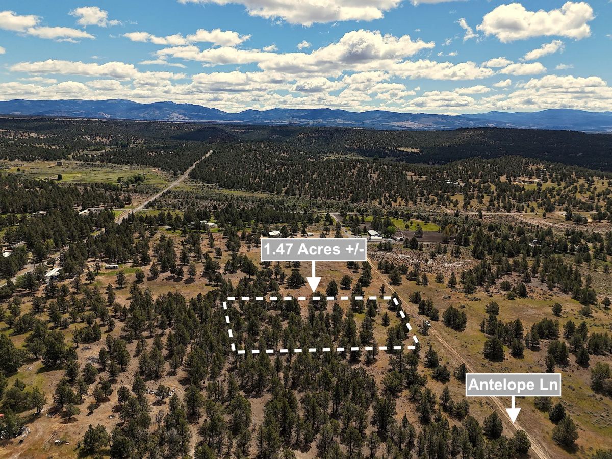 Decorative background for 1.47 Acres Land For Sale In Alturas CA image 7