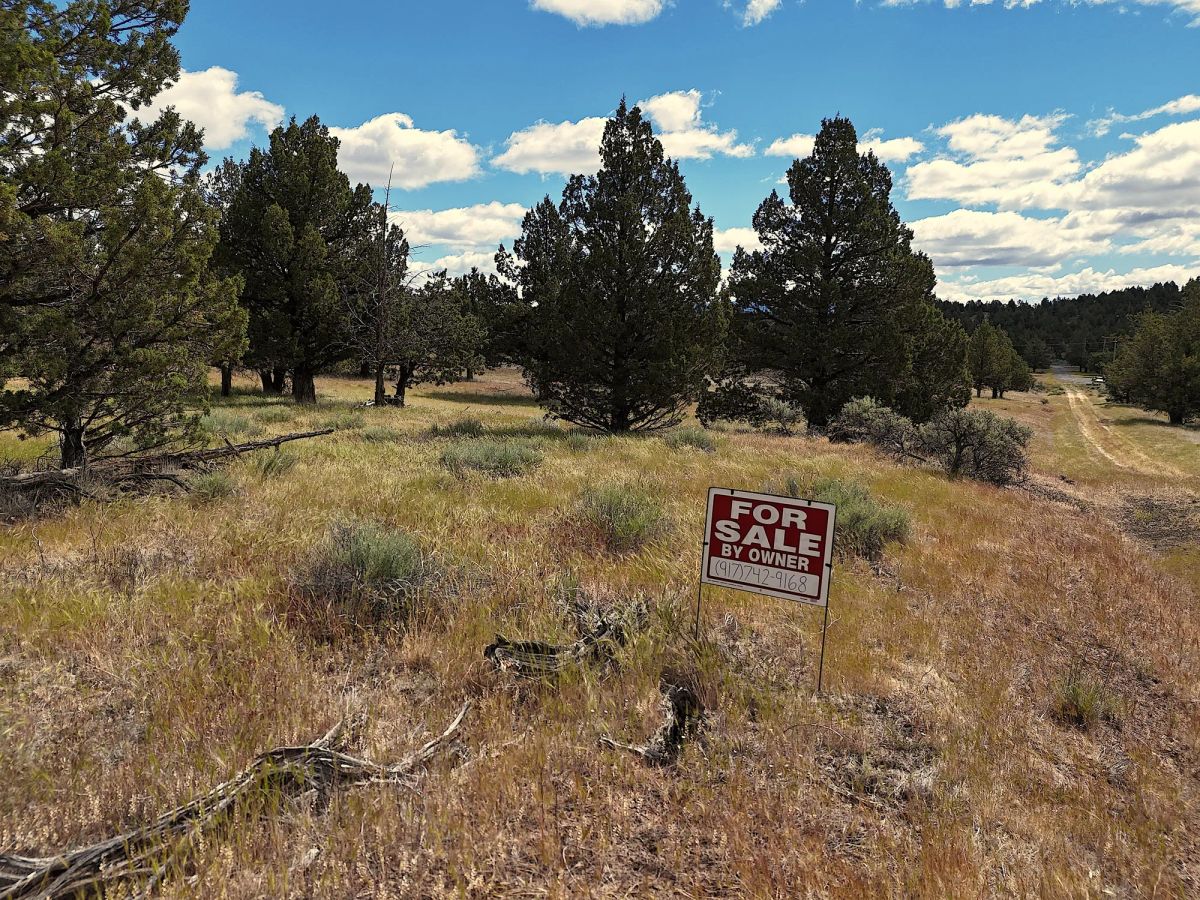 Decorative background for 1.47 Acres Land For Sale In Alturas CA image 8