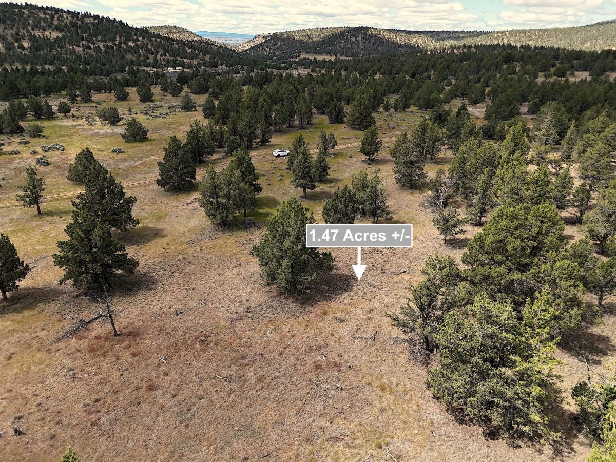 Decorative background for 1.47 Acres Land For Sale In Alturas CA image 9