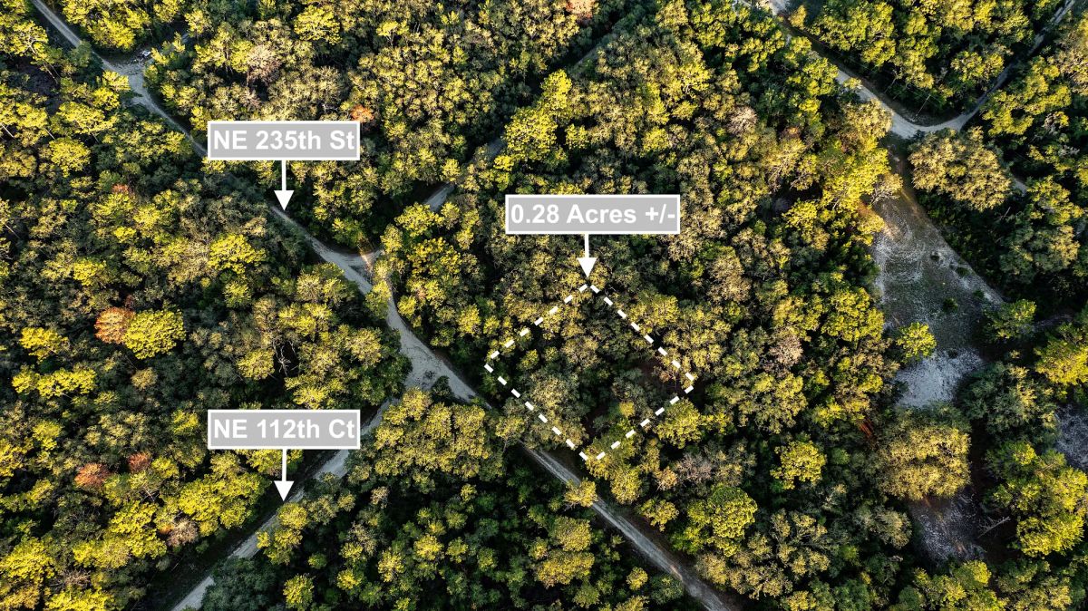 0.28 Acres Land (Near 2 Lakes) For Sale In Fort McCoy - Image 3