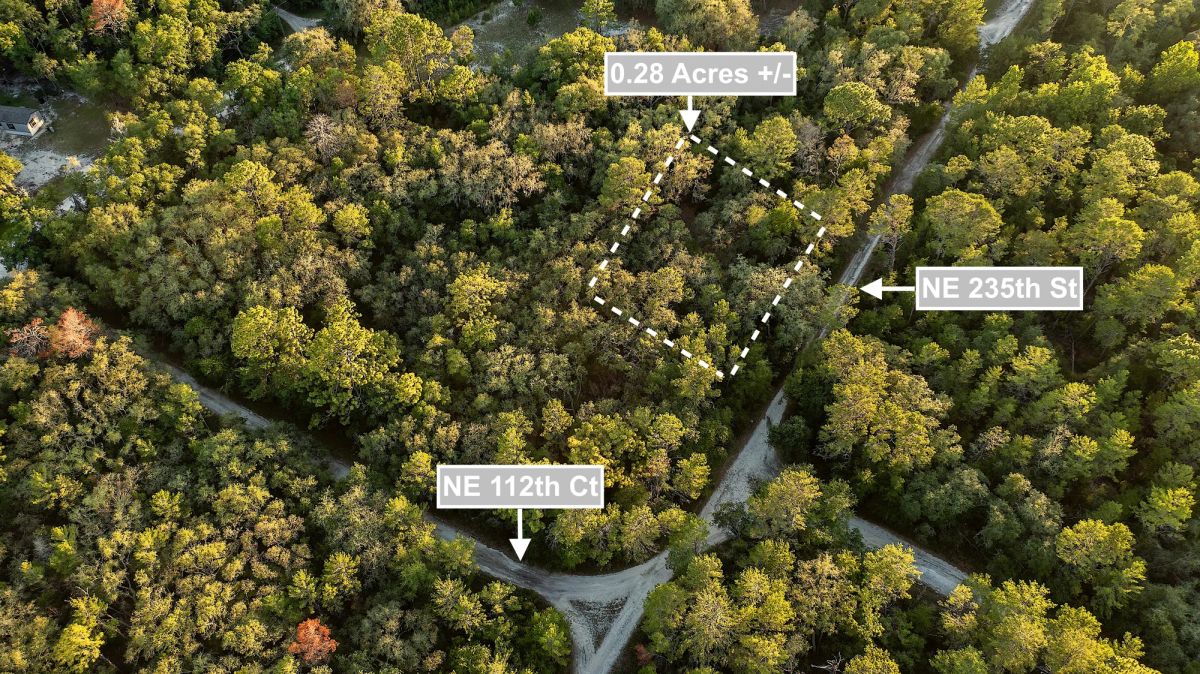 Decorative background for 0.28 Acres Land (Near 2 Lakes) For Sale In Fort McCoy image 5