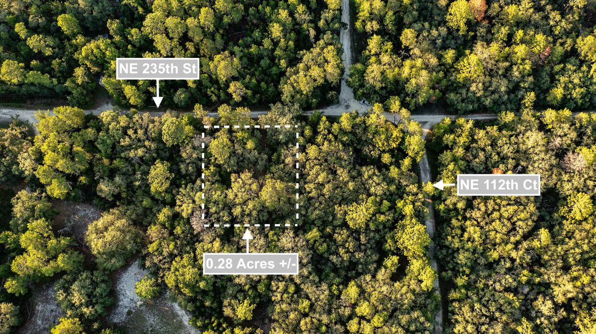 Decorative background for 0.28 Acres Land (Near 2 Lakes) For Sale In Fort McCoy image 6
