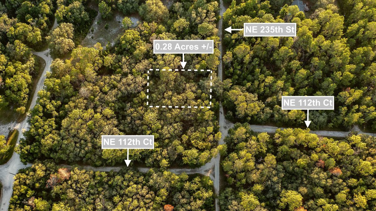 Decorative background for 0.28 Acres Land (Near 2 Lakes) For Sale In Fort McCoy image 7