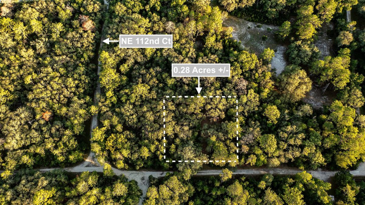 Decorative background for 0.28 Acres Land (Near 2 Lakes) For Sale In Fort McCoy image 8