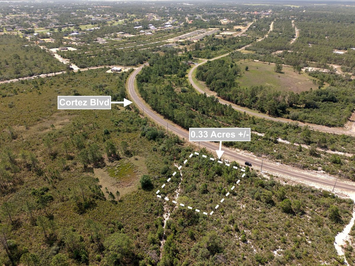 0.33 Acres Land For Sale In Sebring - Main image