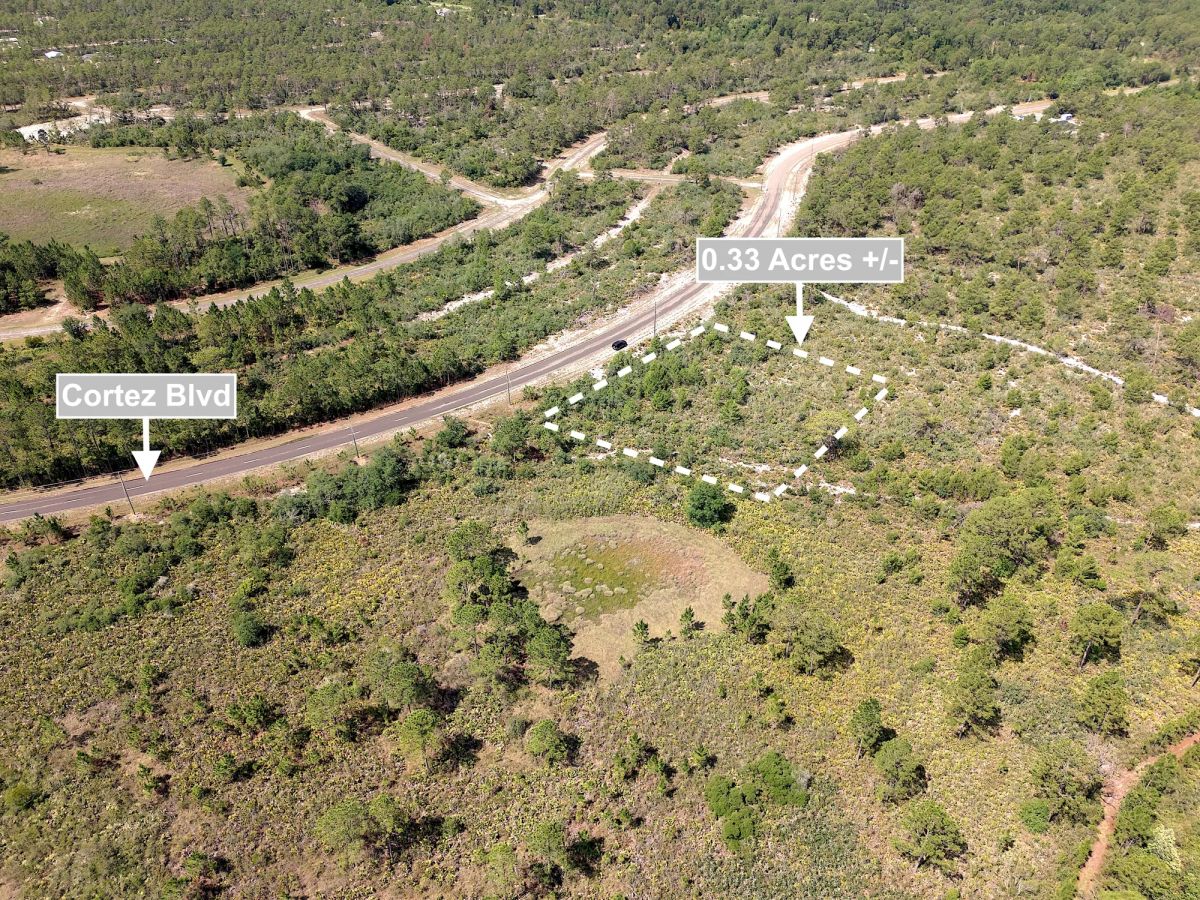 0.33 Acres Land For Sale In Sebring - Image 2