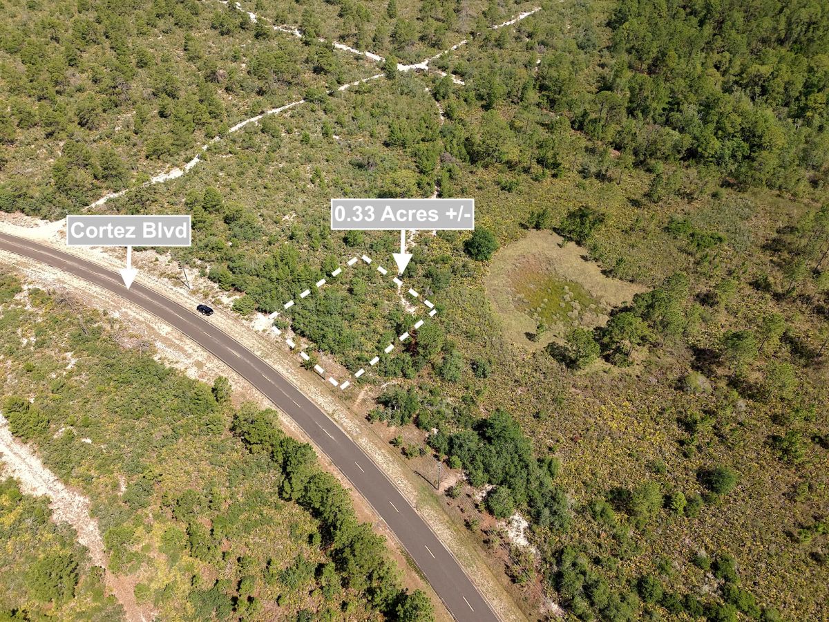 0.33 Acres Land For Sale In Sebring - Image 3