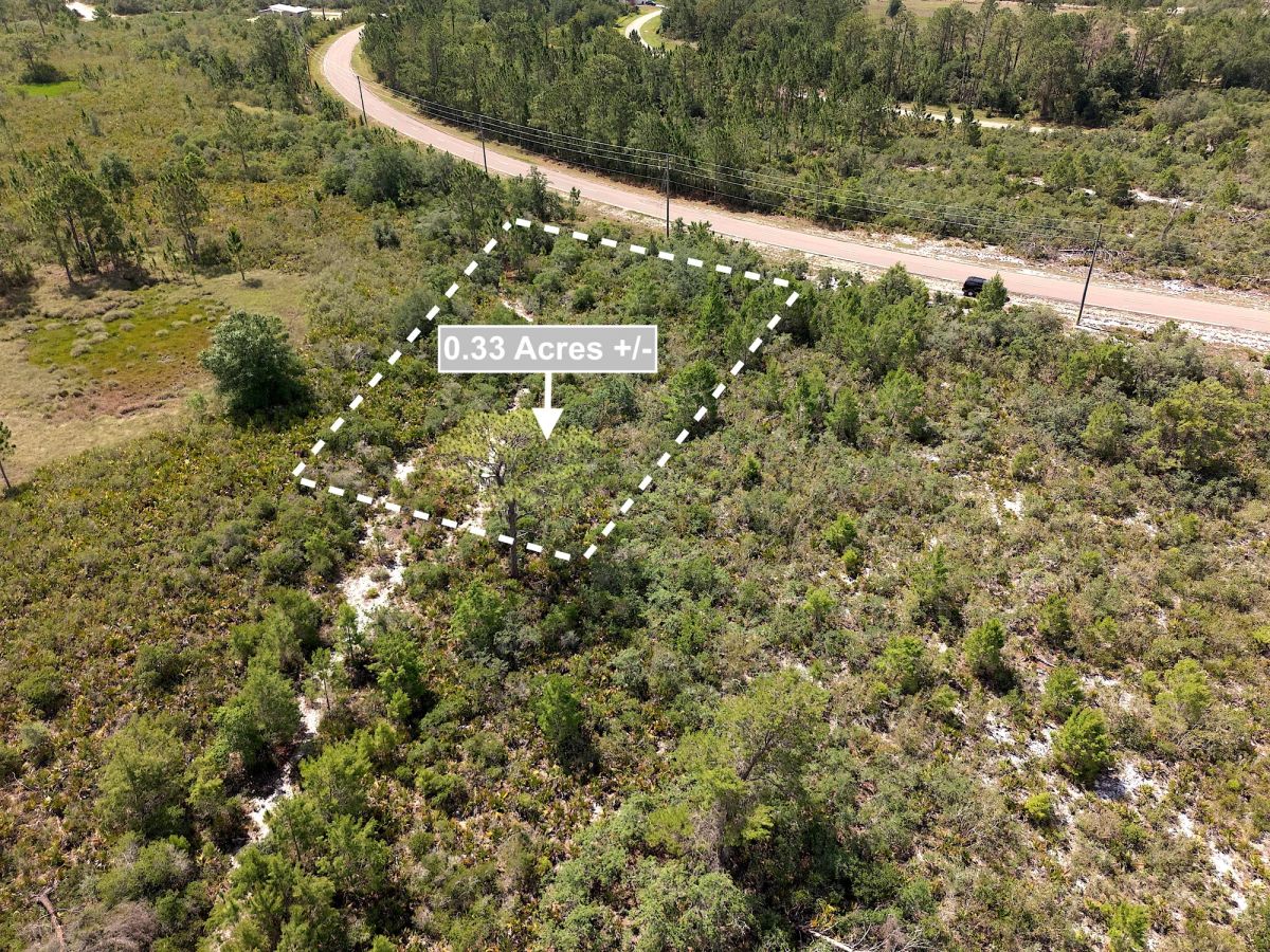 Decorative background for 0.33 Acres Land For Sale In Sebring image 5