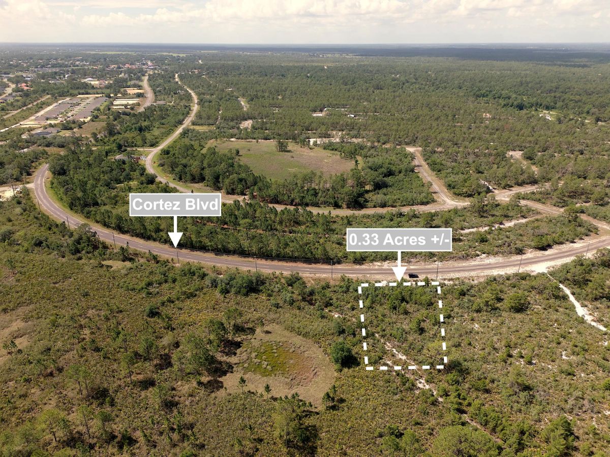 Decorative background for 0.33 Acres Land For Sale In Sebring image 6
