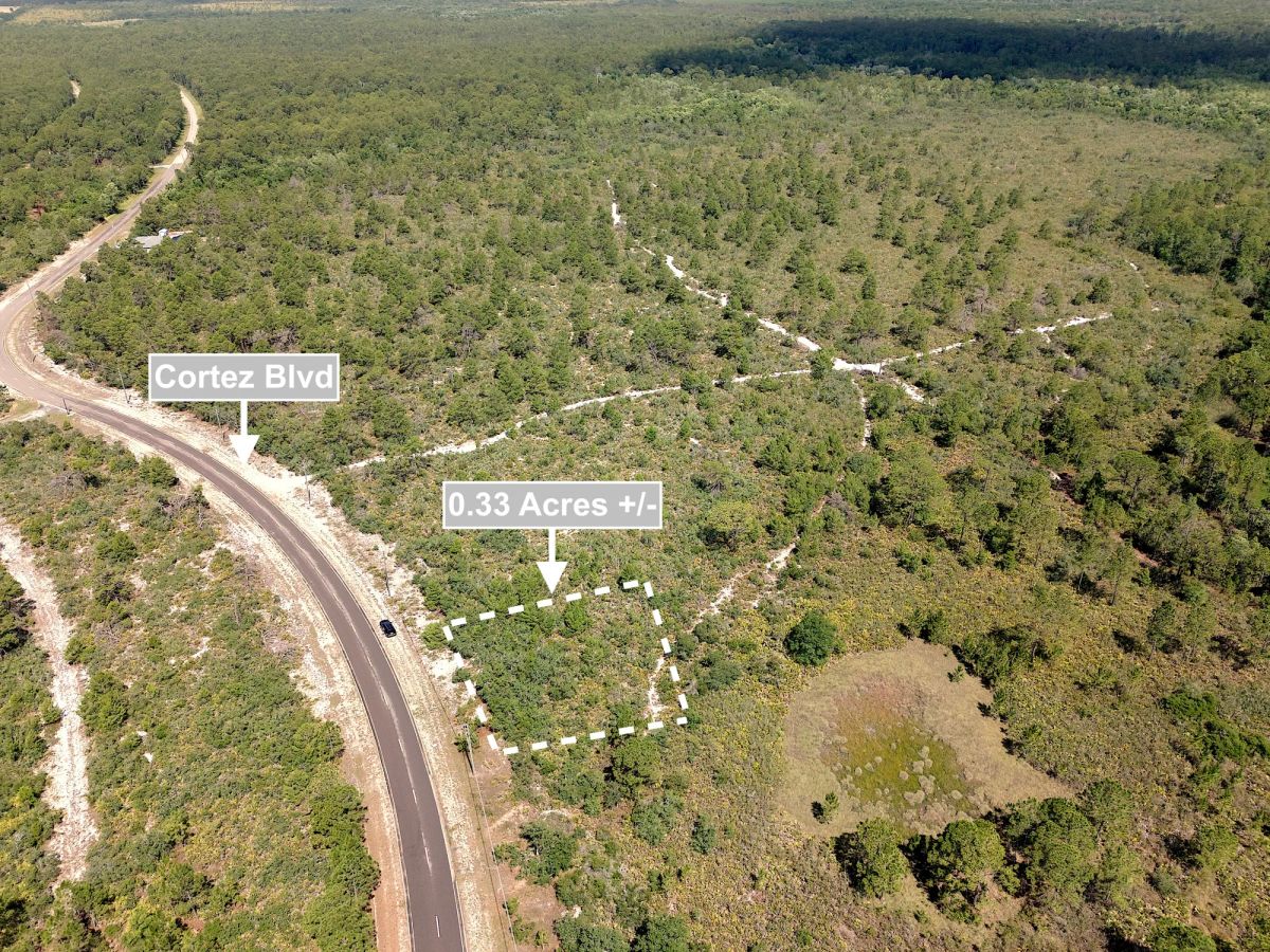Decorative background for 0.33 Acres Land For Sale In Sebring image 7